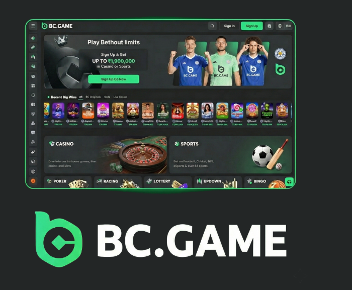 Exploring BC.Game Cryptocurrency Casino A Revolutionary Gaming Experience